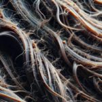 Reversing Heat Damage: Effective Strategies for Success