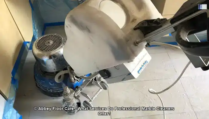 What Services Do Professional Marble Cleaners Offer