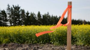 Subdivision Surveys: A Key Guide for Clyde North Development