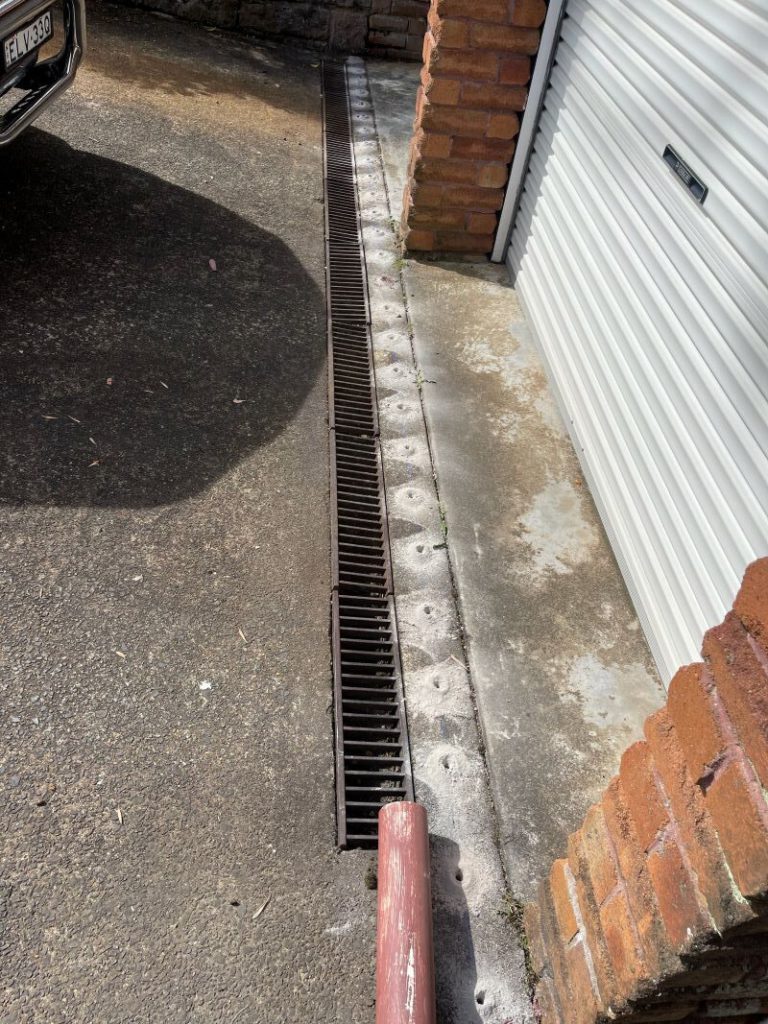 Termite Protection: Explore Coverage Options for Your Home