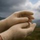 Cotton Gloves: Key Buying Tips for Shoppers in Rotherham
