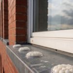 Bird Proofing Solutions: Alternatives to Spike Repellents