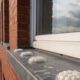 Bird Proofing Solutions: Alternatives to Spike Repellents