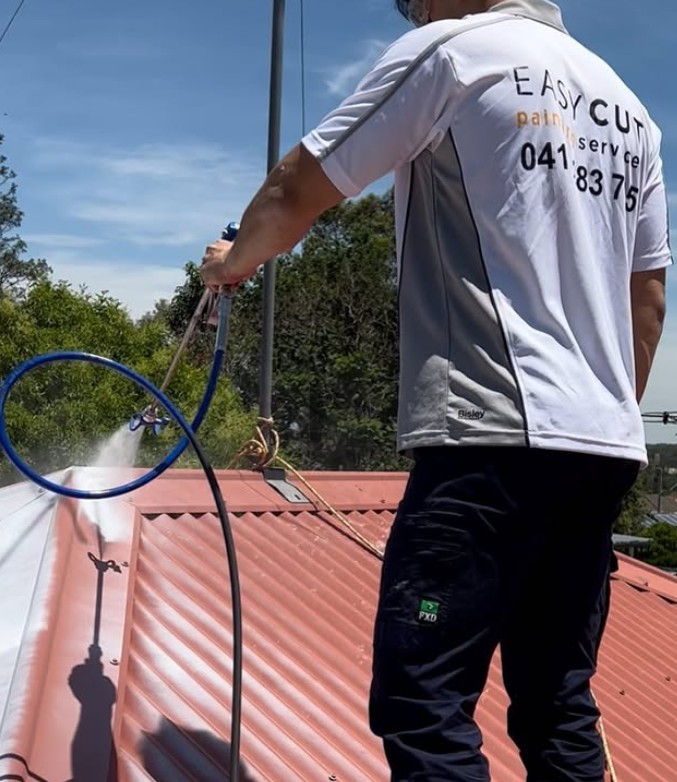 Metal Roof Painting Tips from Hills District Experts