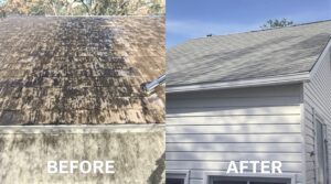 Discover the Outstanding Advantages of Soft Washing for Effective Home Care