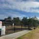Tree Planting at Maitland’s Rutherford Dog Park