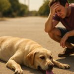 Heat Exhaustion Treatment for Pets: Essential Recovery Tips