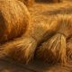 Hay and Straw Cooking: Fresh Recipe Inspirations