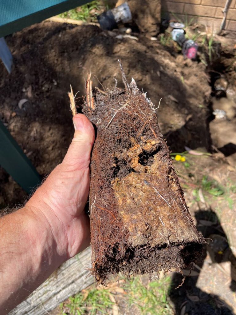 Clay Soil’s Impact on Caboolture Pipes Revealed