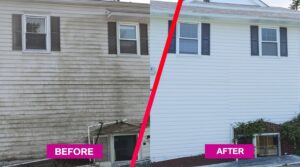 Soft Washing vs Power Washing: Key Differences Explained