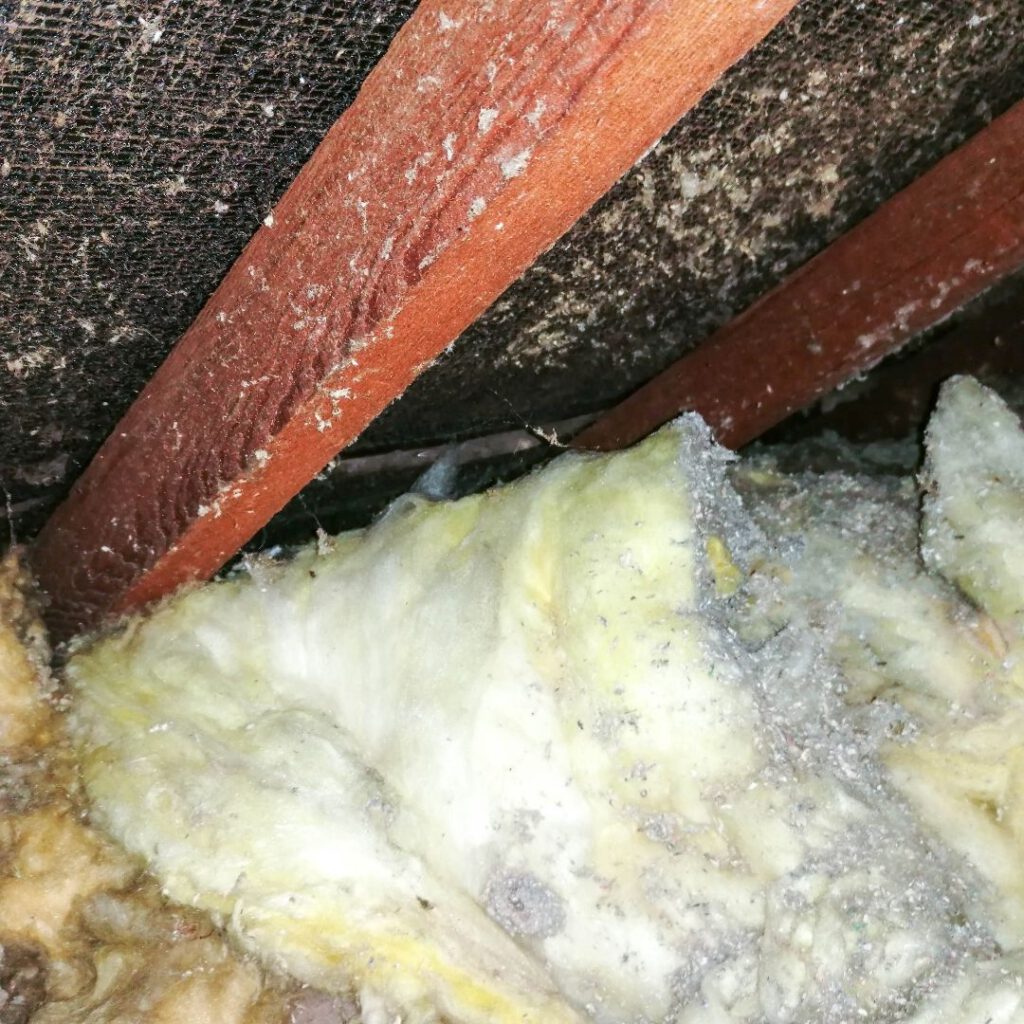 Asbestos Concerns: Top Tips for Selecting a Skip Bin