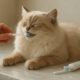 Teeth Brushing Kits for Cats: Your Essential Oral Care Guide