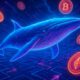 Whale Wallet Tracking Techniques for Effective Oversight