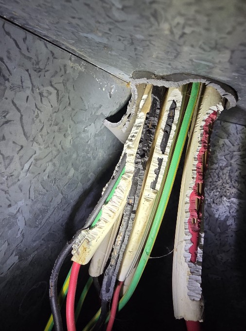 Managing Ants, Rats, and Mice: Electrical Faults in Homes
