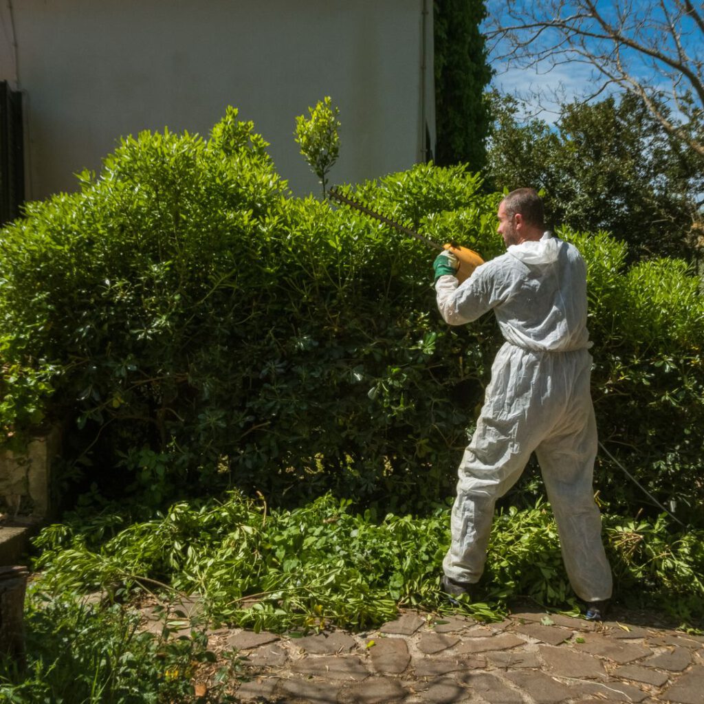 Green Waste Solutions: 4 Effective Disposal Techniques