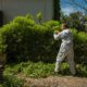 Green Waste Solutions: 4 Effective Disposal Techniques