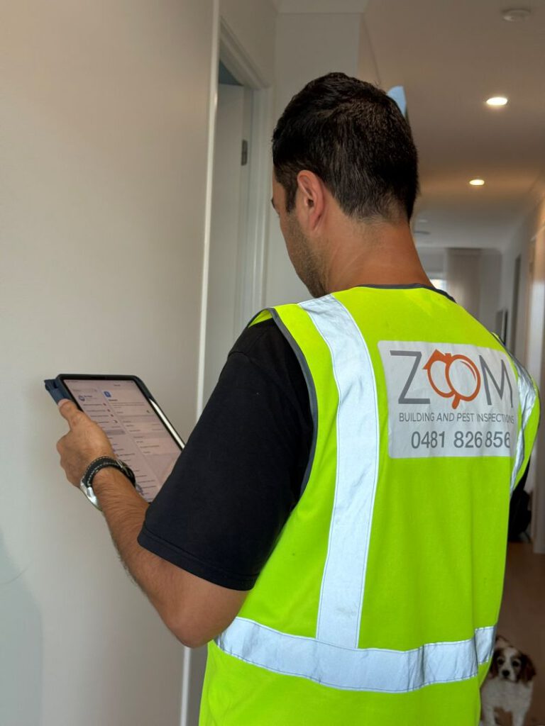 Building and Pest Inspection: Choosing in Brisbane