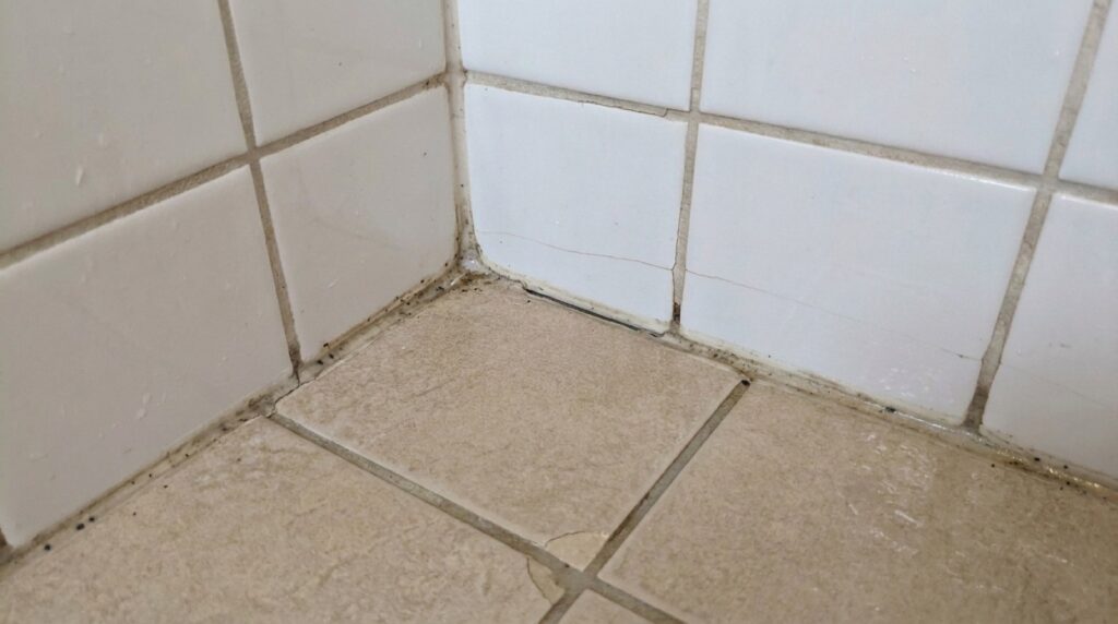Shower Reseal: Is It a True Solution or Merely a Quick Fix?