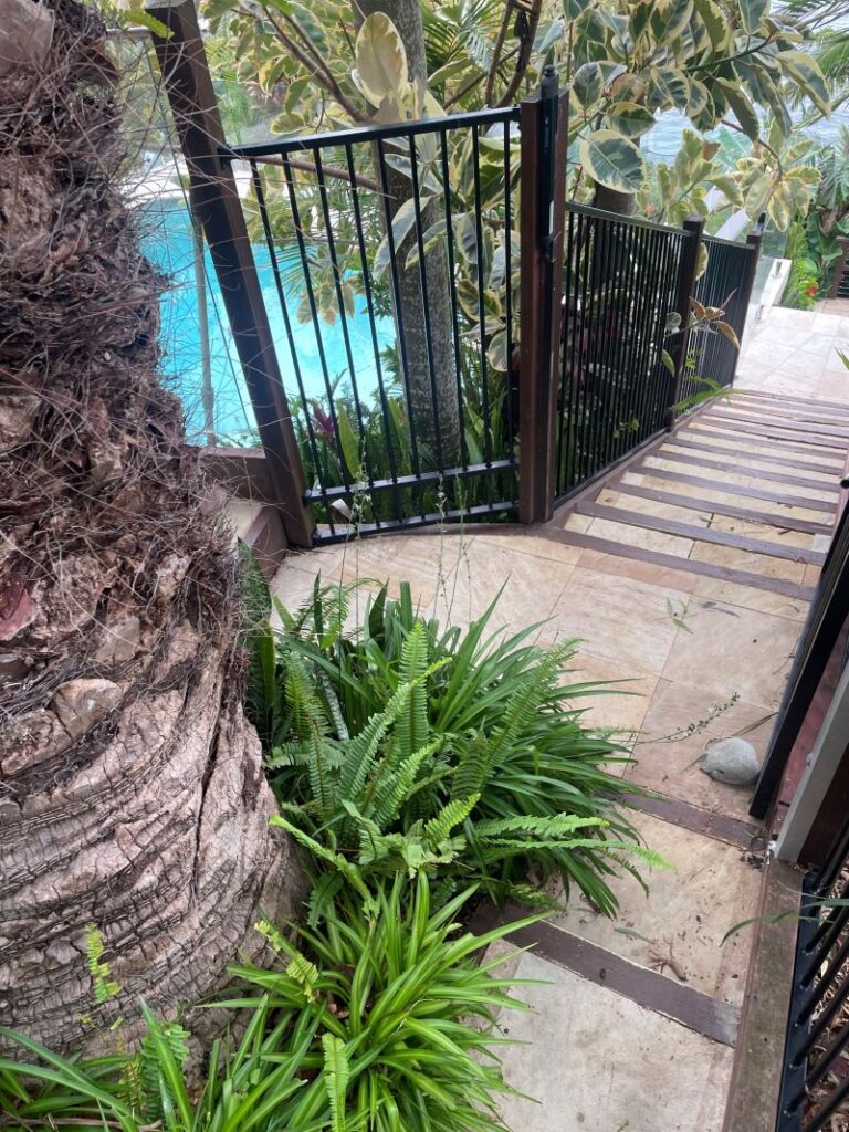 Pool Pipes Overview